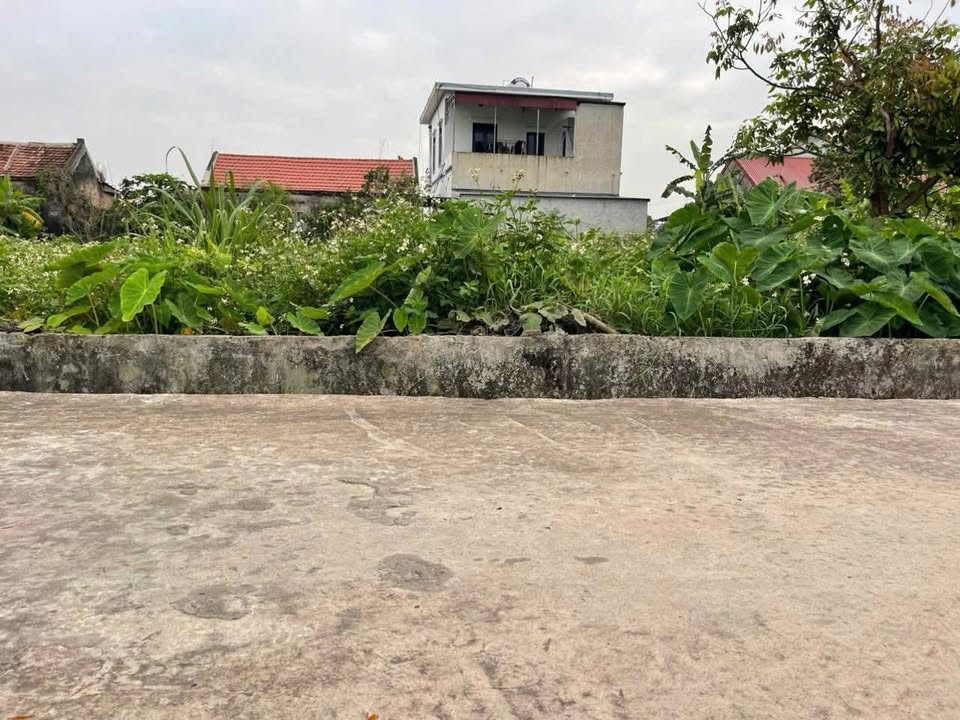 Đất nền Nghĩa Phú 220m² 985 triệu - Giá tốt hiếm có