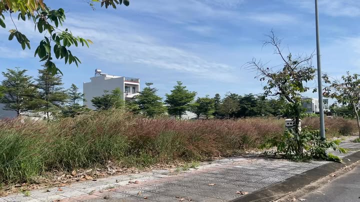 Đất nền Bàu Xéo N5 85m² 1.5 tỷ - Sổ đỏ chính chủ