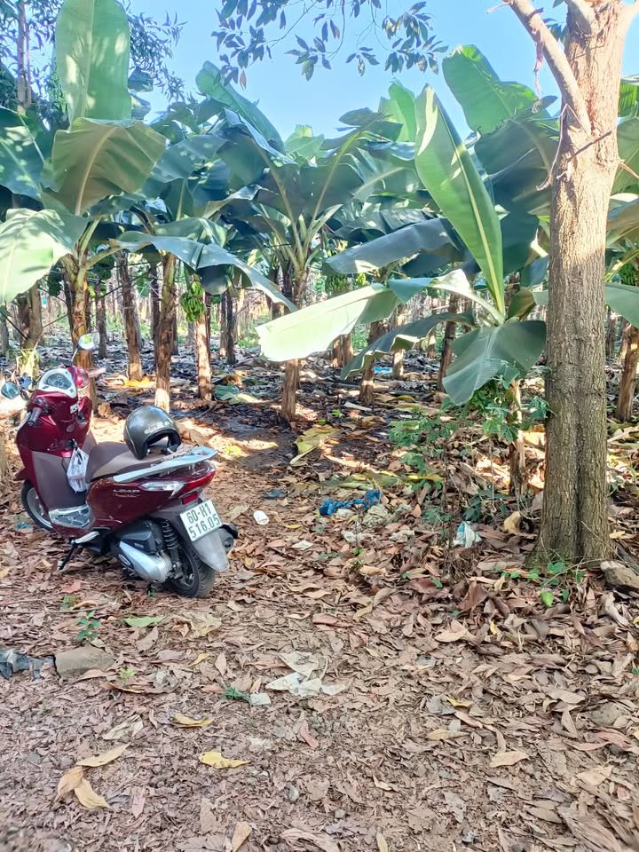 Đất nền Trung Hòa Trảng Bom 360m² 950 triệu - Sổ đỏ chính chủ