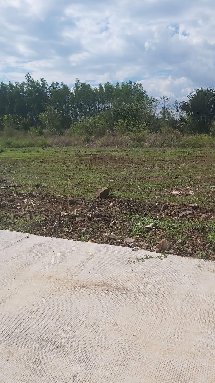 Đất Tân An Vĩnh Cửu 100m2 550 triệu - Sổ đỏ chính chủ