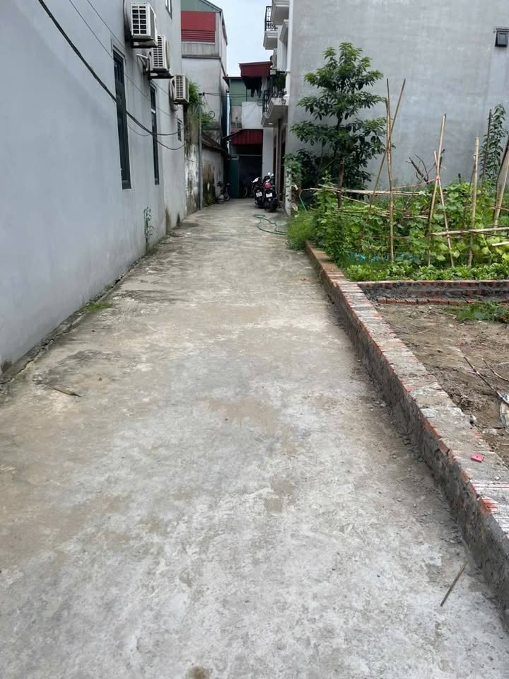 Đất Đông Anh Cổ Dương 45m² - Chính chủ bán pháp lý rõ