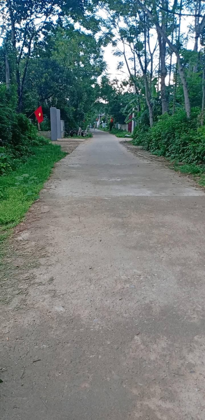 Đất nền Thôn Nam Trạch Lộc An 165m² 600 triệu - Sổ đỏ chính chủ