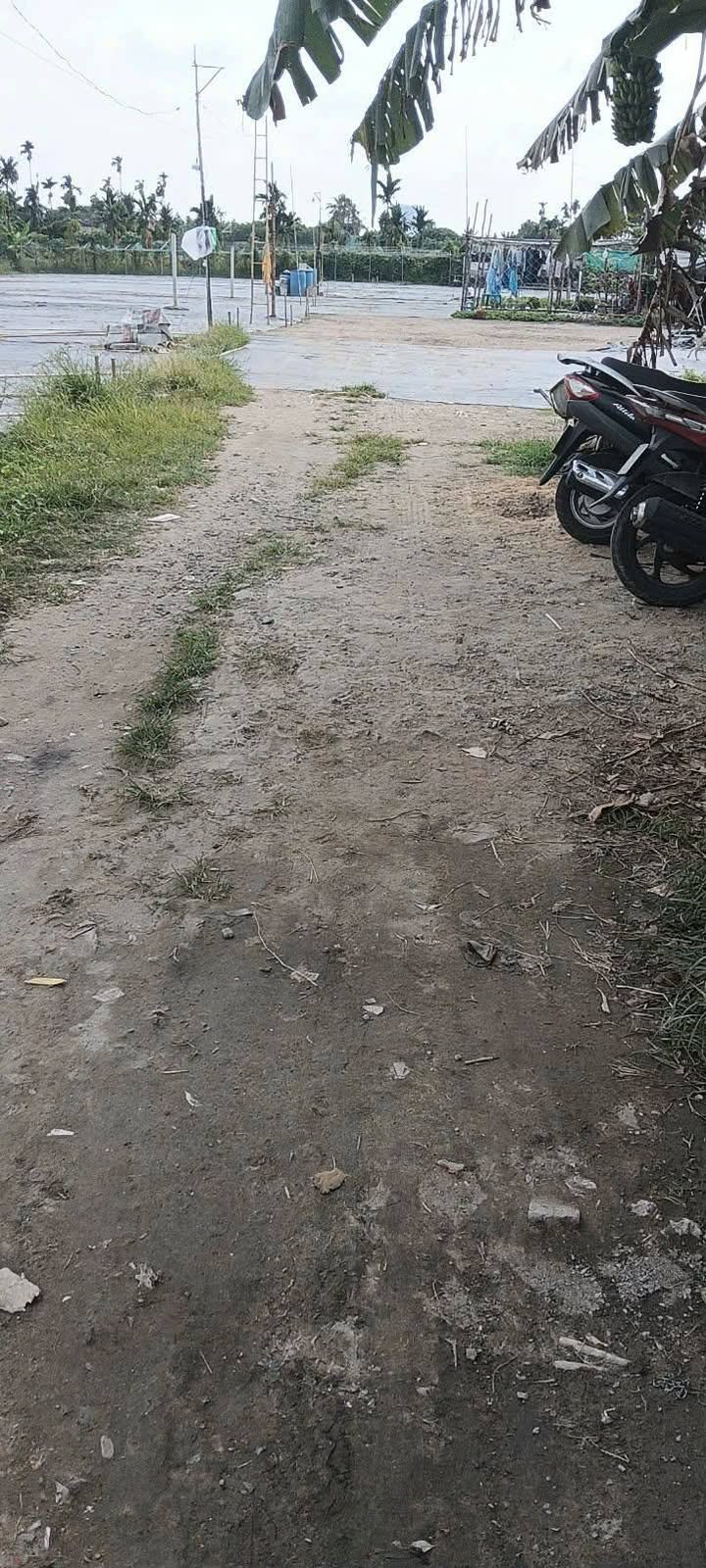 Đất nền Thạnh Xuân Q12 280m² 1.2 tỷ - Sổ đỏ chính chủ