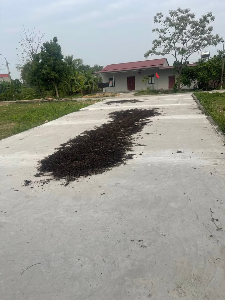 Đất nền Việt Yên Bắc Giang 100m2 0.85 tỷ - Sổ đỏ chính chủ