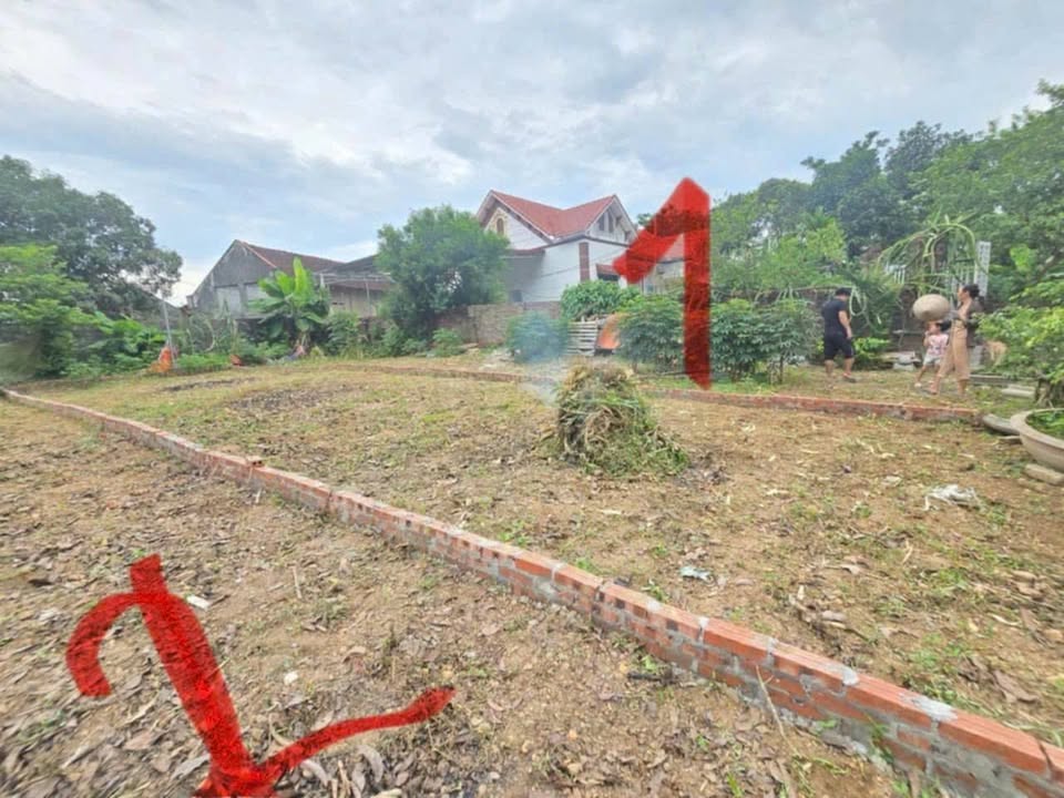 Đất nền xã Dị Nậu 100,3m² 500-599 triệu - Sổ đỏ chính chủ