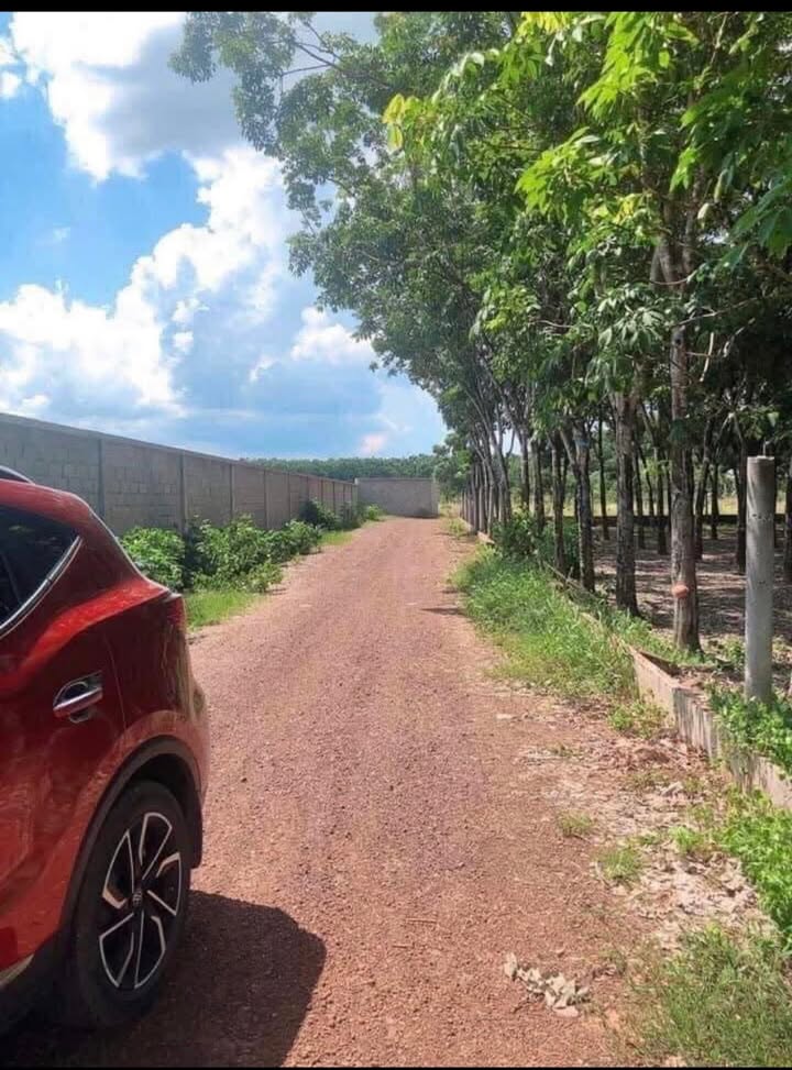 Đất nền Tân Phát Tân Hiệp 250m² 595tr - Sổ đỏ chính chủ