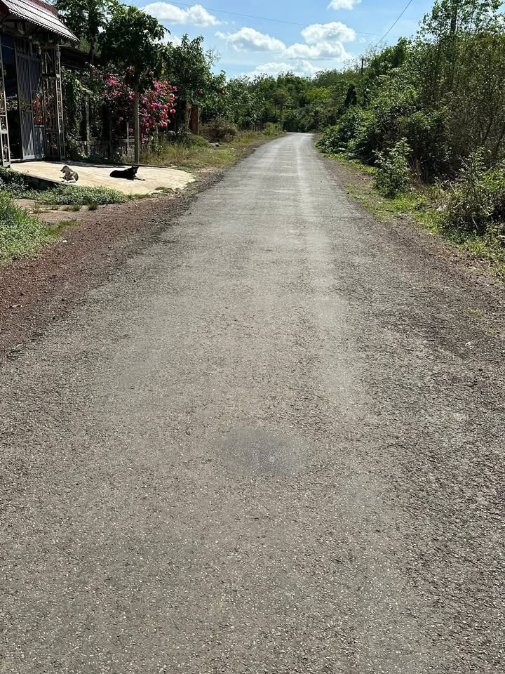 Đất nền Tam Lập 250m² 3xx triệu - Sổ đỏ chính chủ