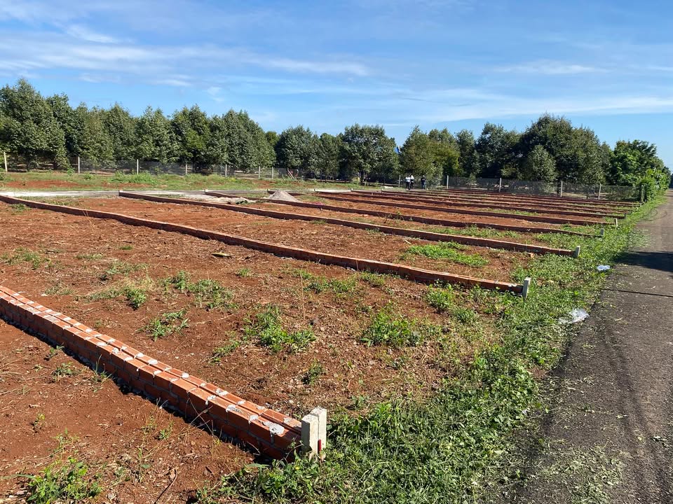 Đất nền Long Bình Thủ Đức 190m² 560 triệu - Sổ đỏ chính chủ