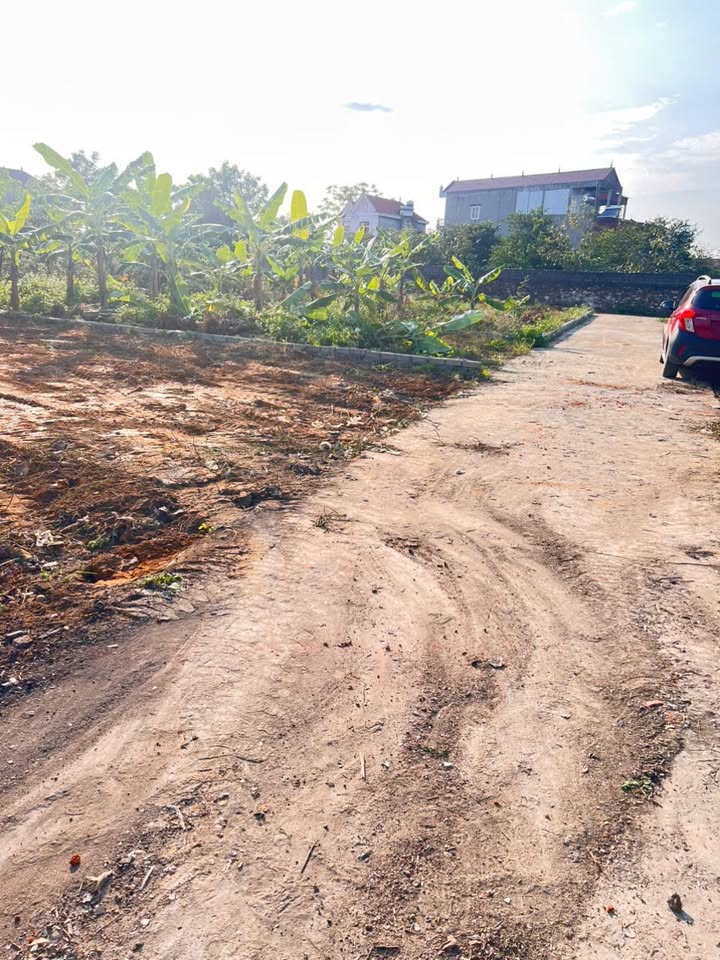 Đất Lan Mẫu Lục Nam 92m2 6xx triệu - Sổ đỏ chính chủ