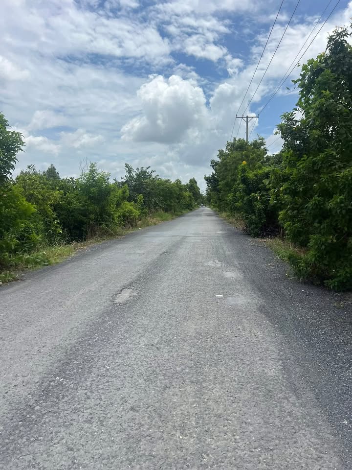 Đất nền TL925 Tân Bình 2000m² 650tr - Sổ đỏ chính chủ