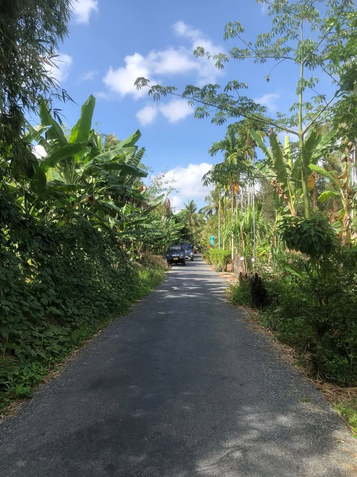 Đất Hiệp Hưng 4.000m² giá 1.1 tỷ - Sổ đỏ chính chủ