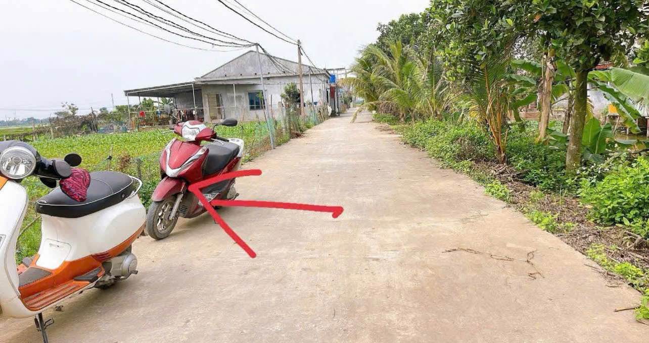 Đất nền Hòa Tiến Hưng Hà 120m² 800 triệu - Sổ đỏ chính chủ