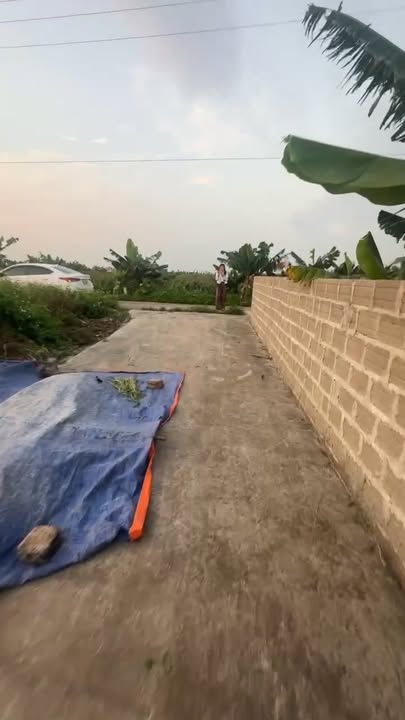 Đất nền Tống Trân Phù Cừ 116m² thỏa thuận - Sổ đỏ chính chủ