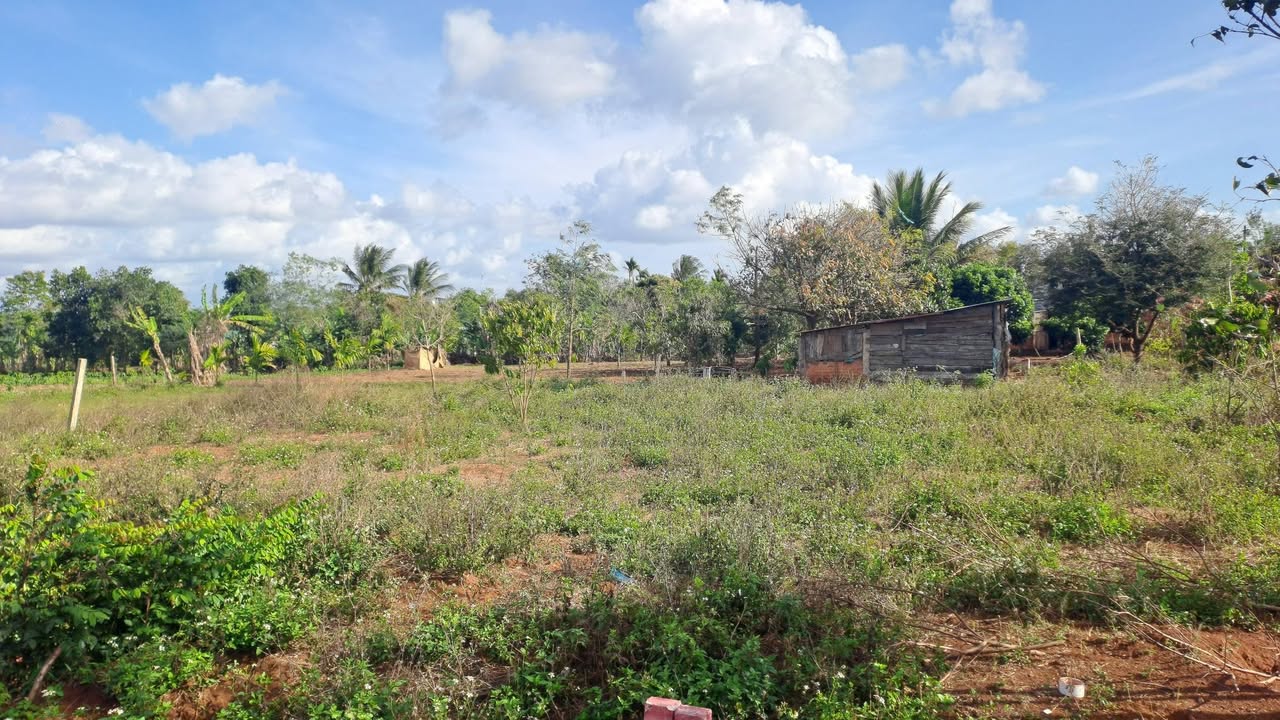 Đất nền Ea Drông Buôn Hồ 60m² 300 triệu - Xây dựng tự do