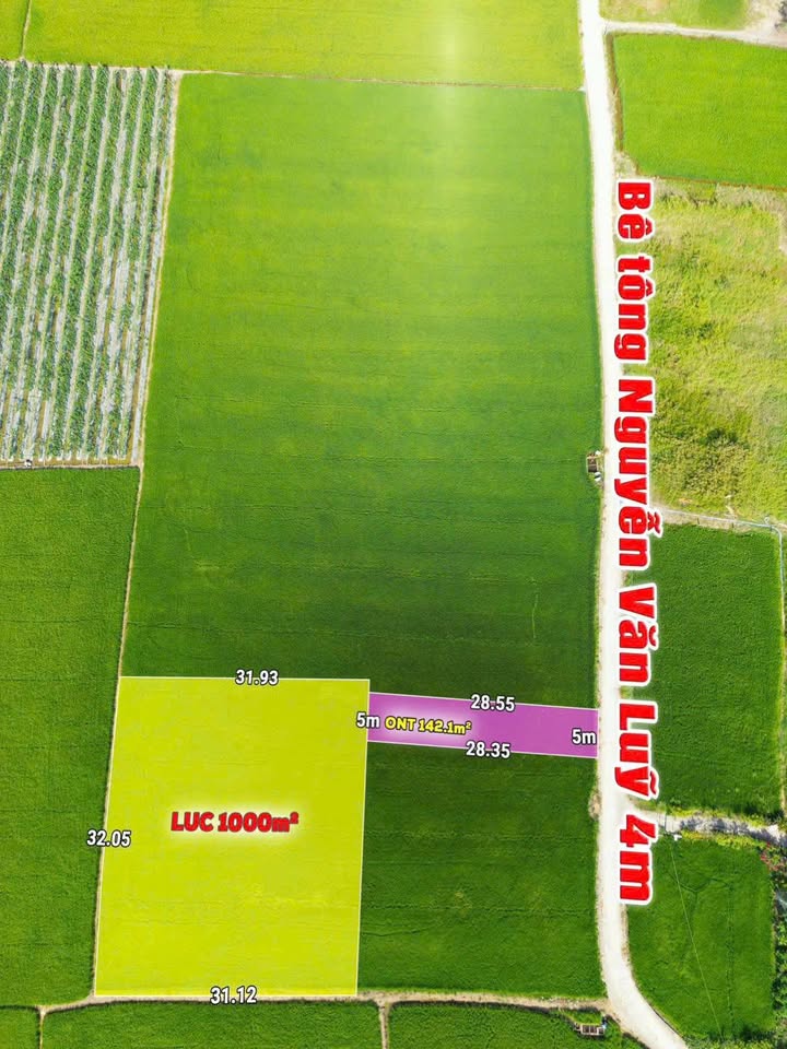 Đất nền Bình Trinh Đông Long An 140m² 529 triệu - Đầu tư dài hạn