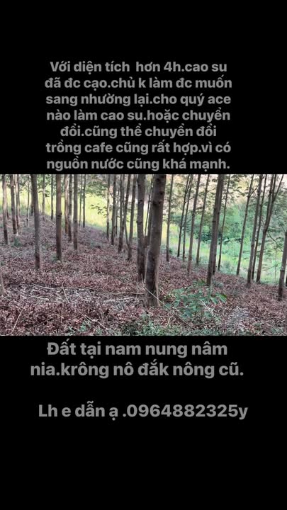 Farm Nâm Nung Đắk Nông 4.5ha giá 2.05 tỷ - Sinh thái xanh