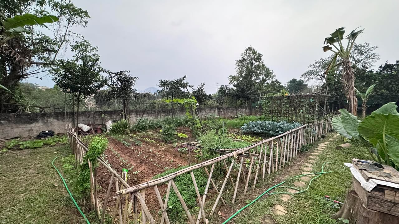 Đất nền Ba Vì Vân Hòa 3000m² thỏa thuận - Tiềm năng tăng giá