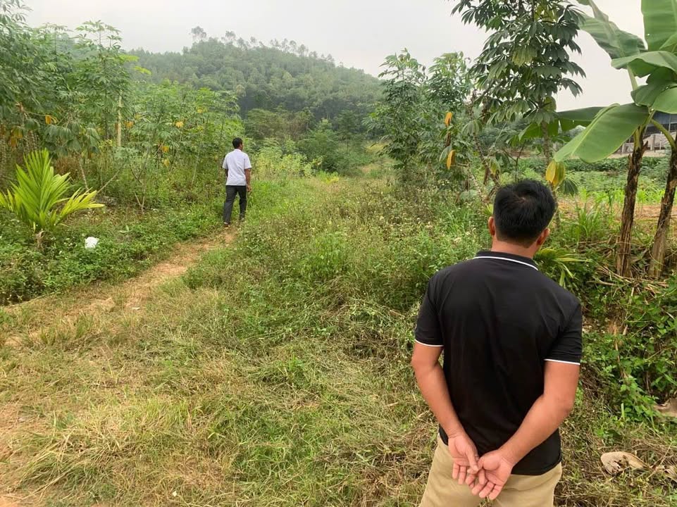 Đất nền Phú Thịnh Đại Từ 130m² giá 3xx - Tiềm năng tăng giá