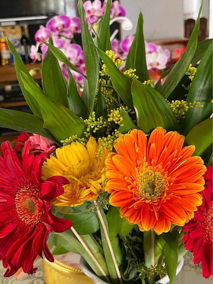 Đất nền Phường Long Tâm Bà Rịa 270m² 2.8 tỷ - Sổ đỏ chính chủ