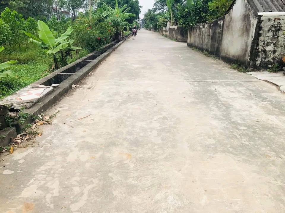 Đất nền Tiên Trang Quảng Xương 230m² 500tr - Đường ô tô