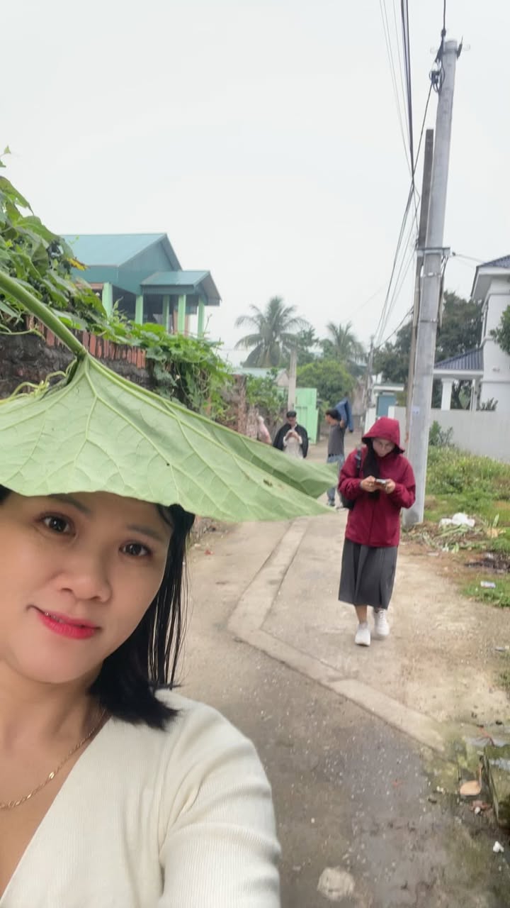 Đất Tân Minh Sóc Sơn 80m² 2 tỷ - Tiềm năng tăng giá