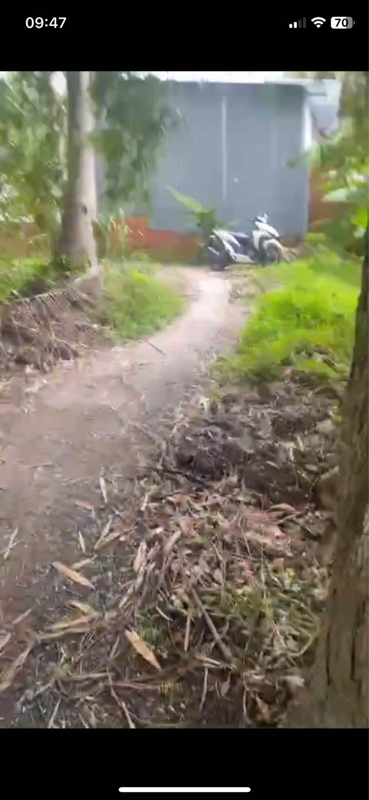 Đất nền Long An Long Hồ 210m² 400 triệu - Sổ đỏ chính chủ