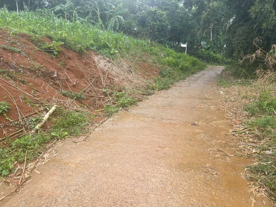 Đất nền Xã Quang Trung Ngọc Lặc 109m² giá 79 triệu - Sổ đỏ chính chủ!