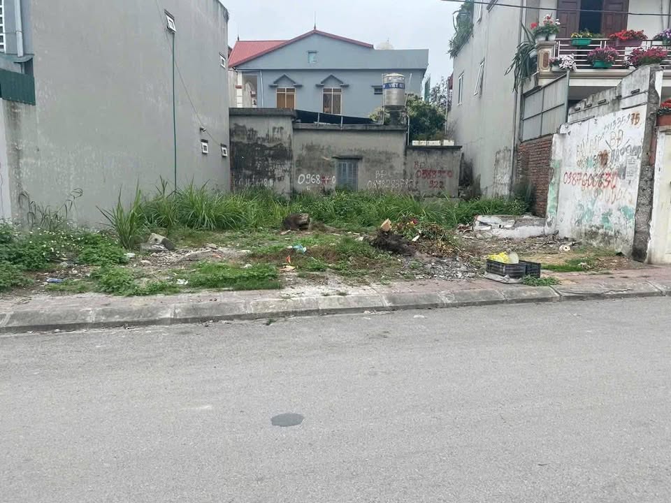 Đất nền Cẩm Bình Cẩm Phả 67m² 2.2 tỷ - Sổ đỏ