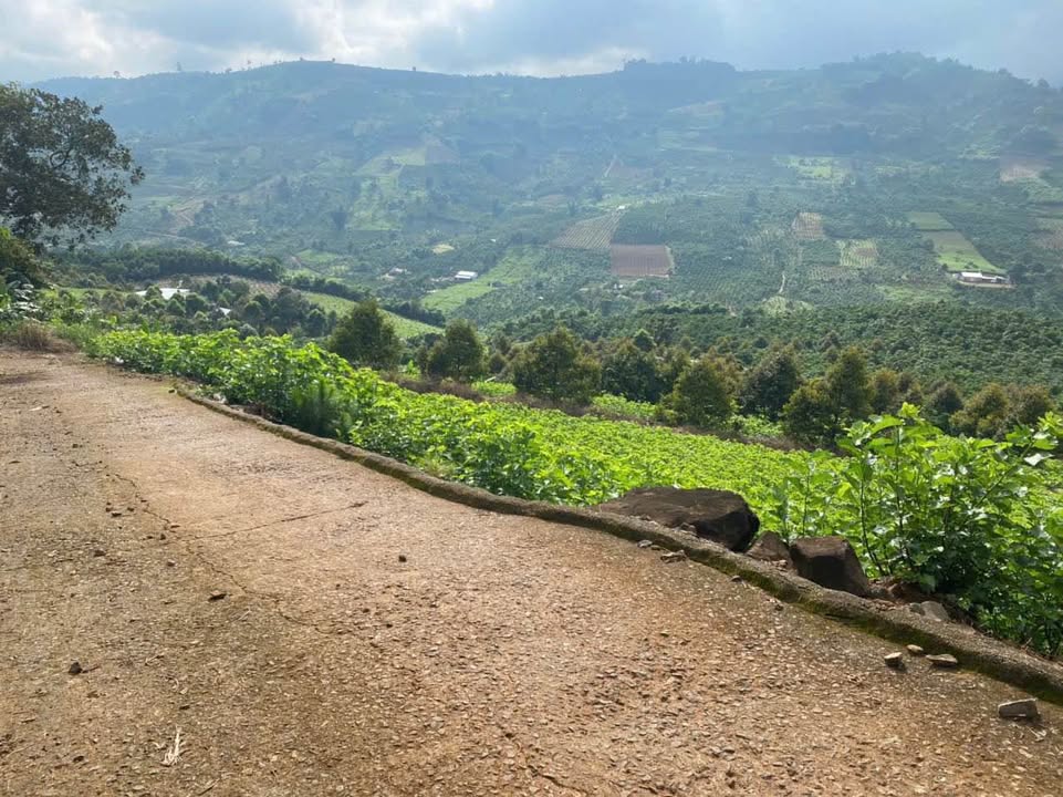 Đất nền Thôn 5 Lộc Tân 720m² 1.6 tỷ - Sổ đỏ chính chủ