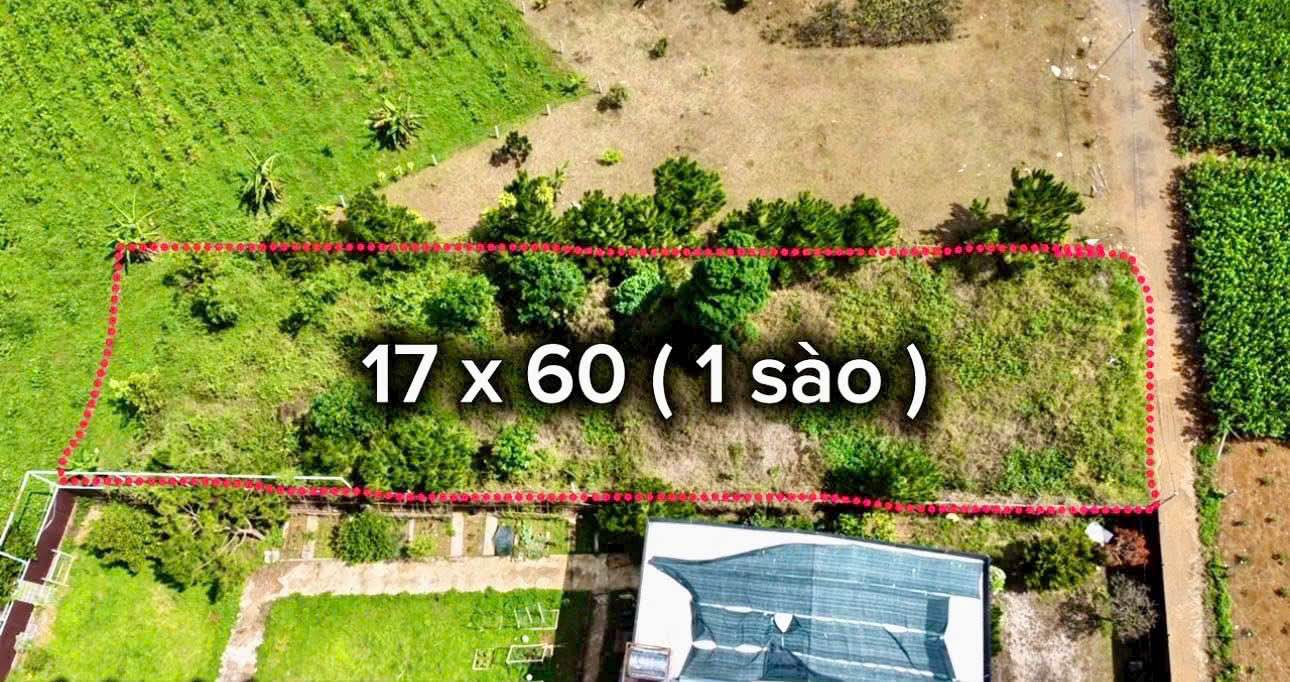 Đất nền Phan Chu Trinh Bảo Lộc 1.000m² 3.8 tỷ - Thổ cư 100%