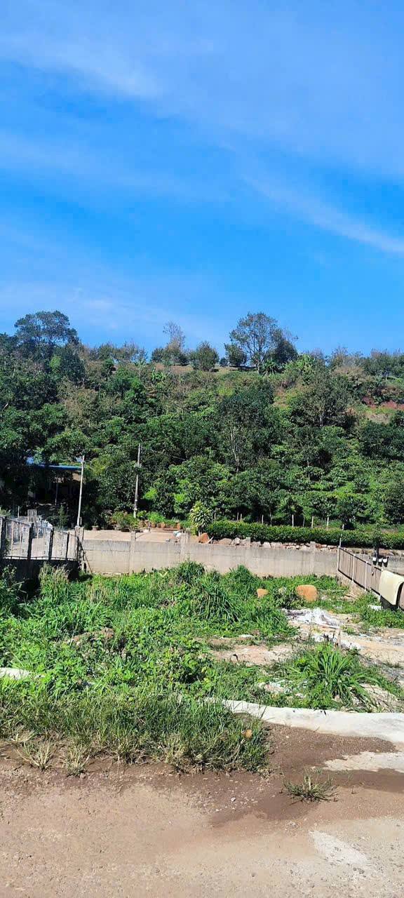 Đất Bảo Lộc Phan Đình Phùng 6x28m 1,28 tỷ - Sổ đỏ chính chủ