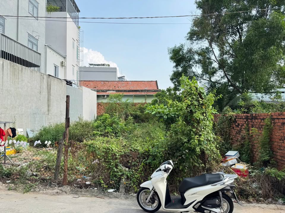 Đất Hàng Tre Long Thạnh Mỹ 190m² 11 tỷ - Tiềm năng tăng giá