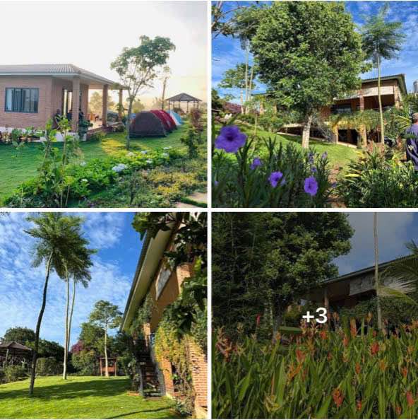 Farm Đinh Trang Hòa Di Linh 6348m2 8.5 tỷ - Sổ đỏ chính chủ