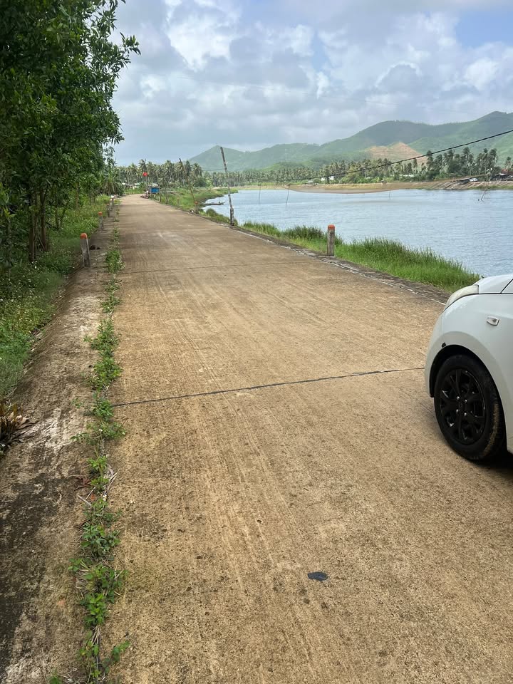 Đất nền Hoài Mỹ 558m² 700-799 triệu - Tiềm năng tăng giá