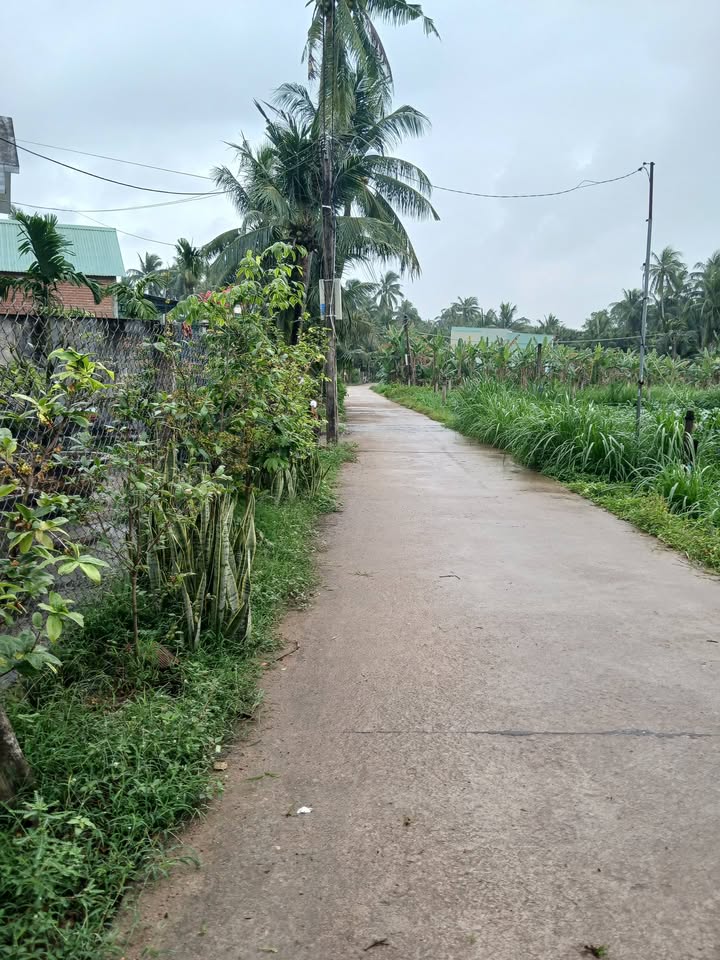 Đất nền Hoài Xuân Hoài Nhơn 300m² 1 tỷ - Xây dựng tự do