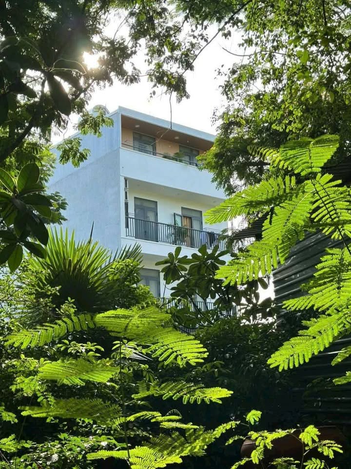 Nhà riêng Tăng Nhơn Phú A 262m² 19.9 tỷ - Chính chủ bán