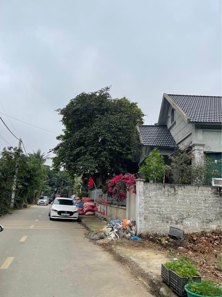 Đất nền Phú Long Nho Quan 100m² 1 tỷ+ - Sổ đỏ chính chủ