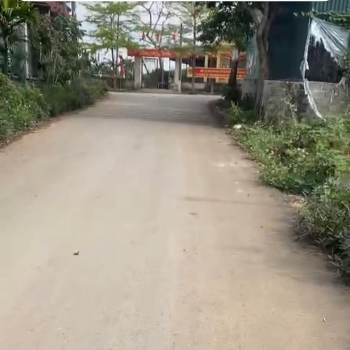 Đất thổ cư Ninh Bình Lý Thái Tổ 100m² 1.5 tỷ - Sổ đỏ