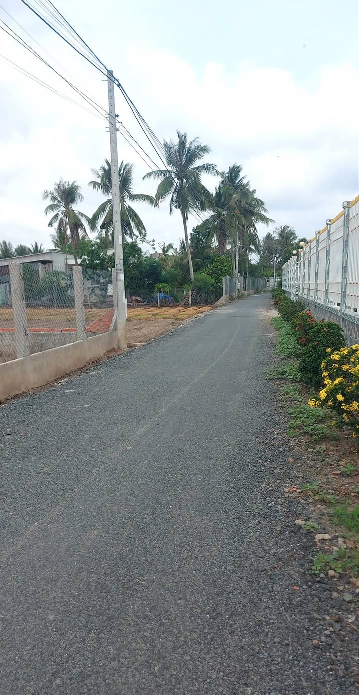 Đất nền Tân Hồng Đồng Tháp 1000m² 1,5 tỷ - Sổ đỏ chính chủ