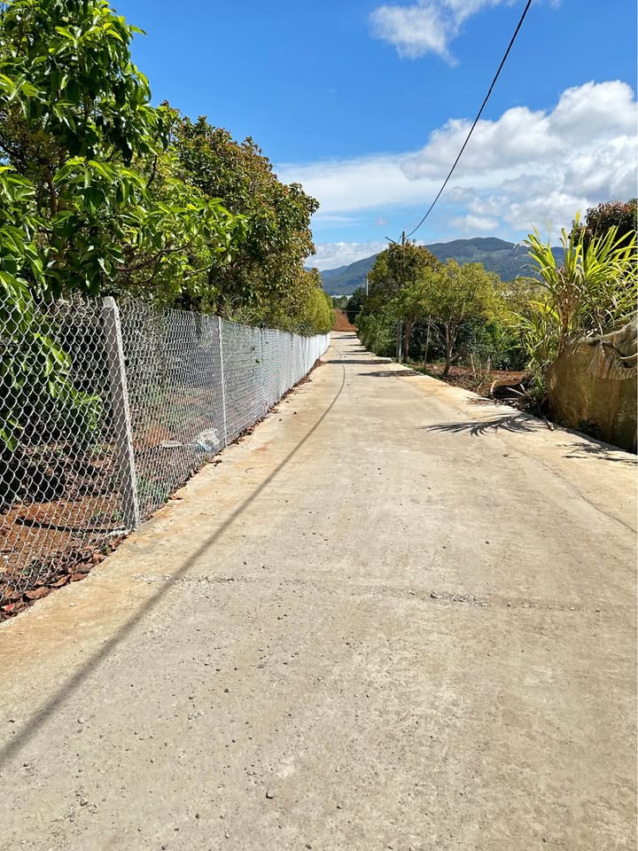 Đất Đạ Chais Lâm Đồng 8000m² 500tr/sào Sổ đỏ chính chủ