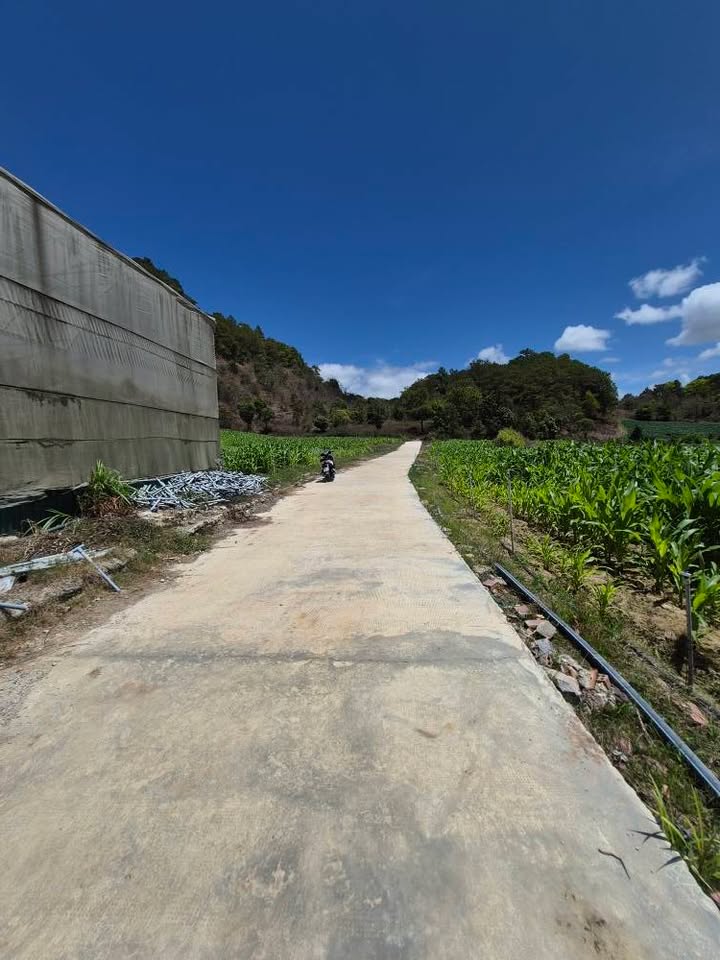 Đất nền Thạnh Mỹ Đơn Dương 190m² 4,6 tỷ – Đường to ô tô