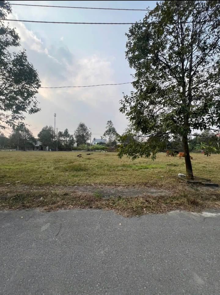 Đất nền Quảng Phú Quảng Ngọc 81m² 1,832 tỷ - Sổ đỏ chính chủ