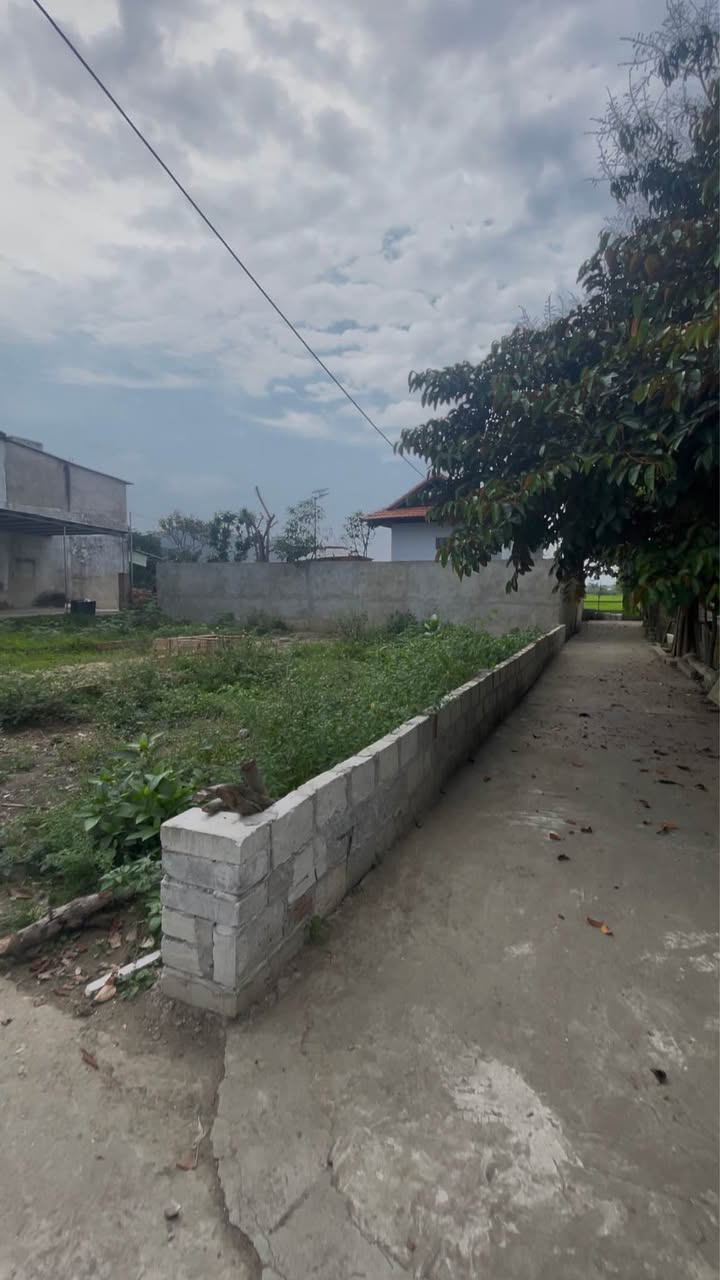 Đất Hòa Thọ Tây 83m² - Đường 10m5, hạ tầng hoàn thiện