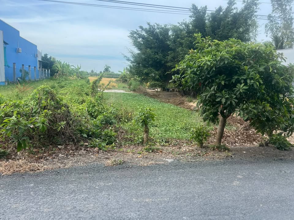 Đất nền Châu Hưng A 512m² 800 triệu - Sổ đỏ chính chủ