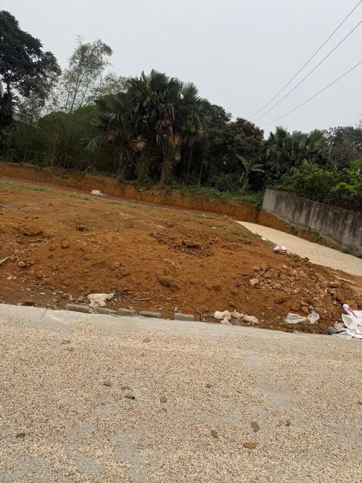 Đất nền Việt Trì Phú Hộ 100m² 1.4 tỷ - Sổ đỏ chính chủ