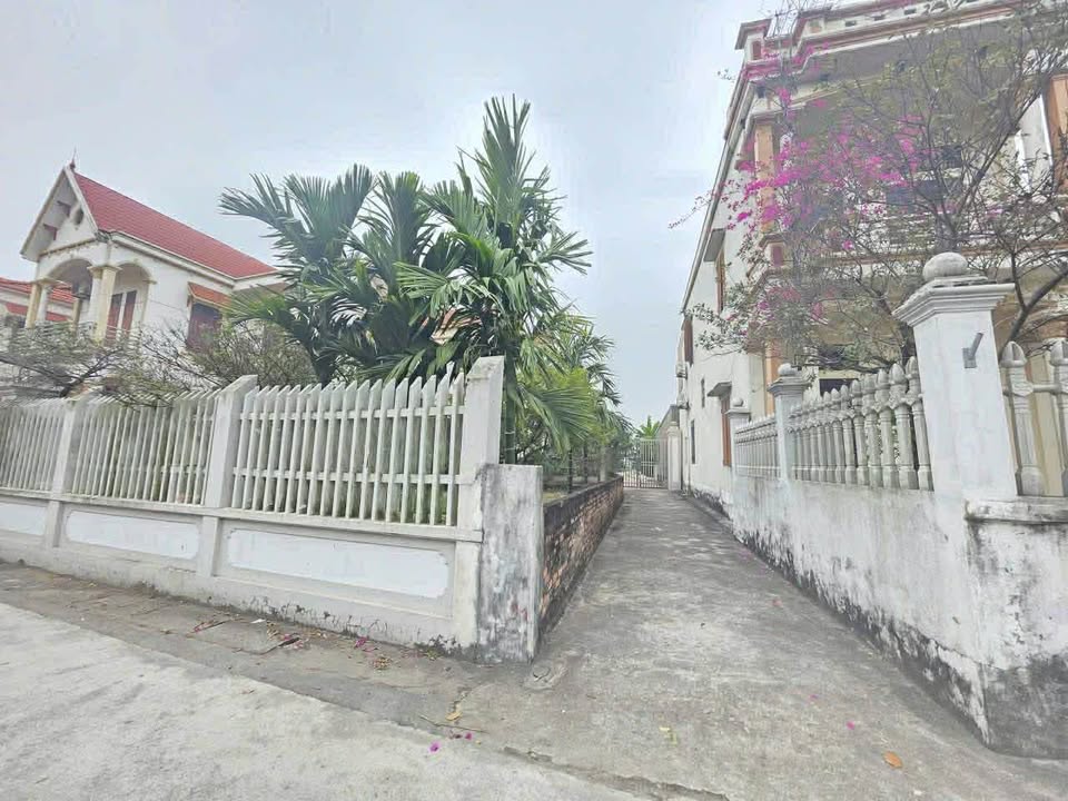 Đất nền Cẩm Đoài 95m² 2 tỷ - Tiềm năng tăng giá