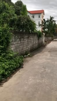 Đất nền Thị trấn Tứ Kỳ 100m² - Sổ đỏ chính chủ