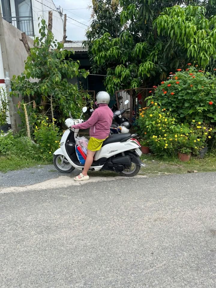 Đất nền Tân Thạnh Đông Củ Chi 115m² 2.25 tỷ - Sổ đỏ chính chủ