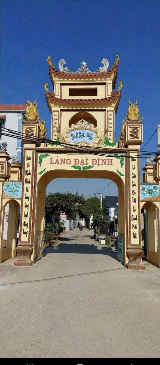 Đất nền Tam Hưng Thanh Oai 41m² giá 3 tỷ - Sổ đỏ chính chủ