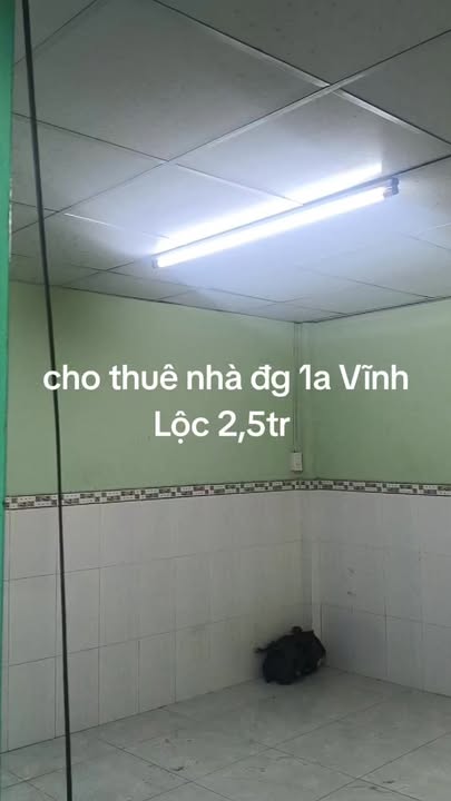 Nhà thuê Vĩnh Lộc B Bình Chánh 2.5tr - Giá tốt hiếm có